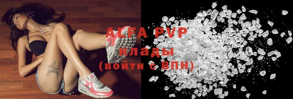 шишки Белоозёрский