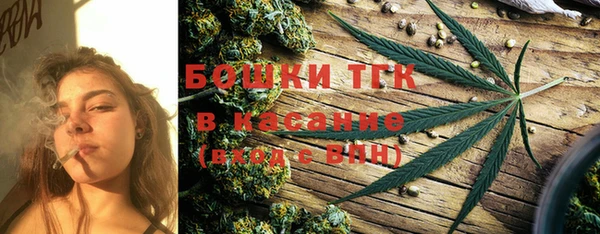 шишки Белоозёрский