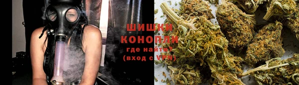 шишки Белоозёрский