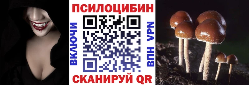 Псилоцибиновые грибы мухоморы  где купить наркоту  Армавир 