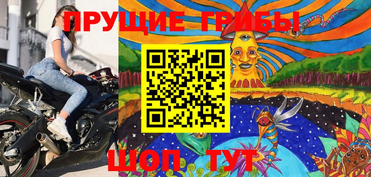 Галлюциногенные грибы Psilocybe Армавир